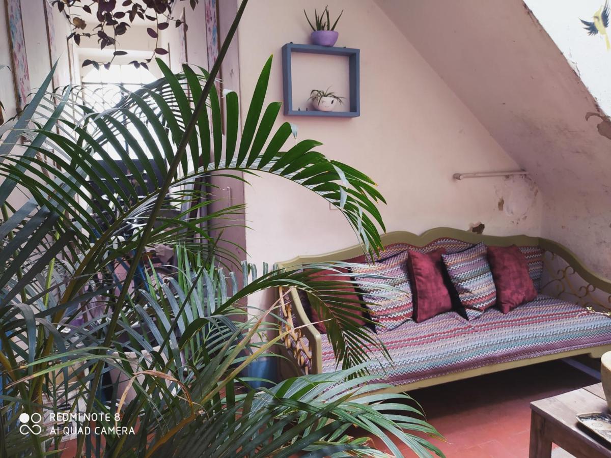 Casa Atenas (Adults Only) Guadalajara Kültér fotó