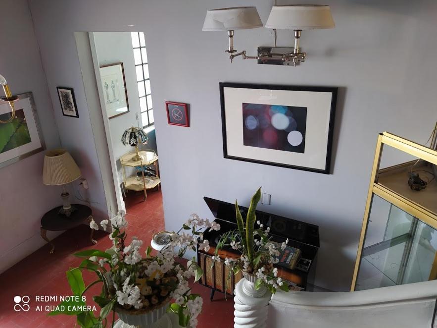 Casa Atenas (Adults Only) Guadalajara Kültér fotó